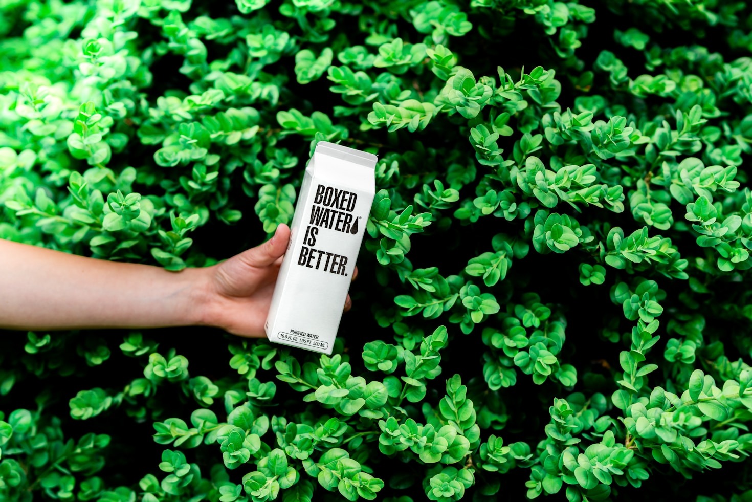 Top Five Benefits of Using an Eco-Friendly Fogger