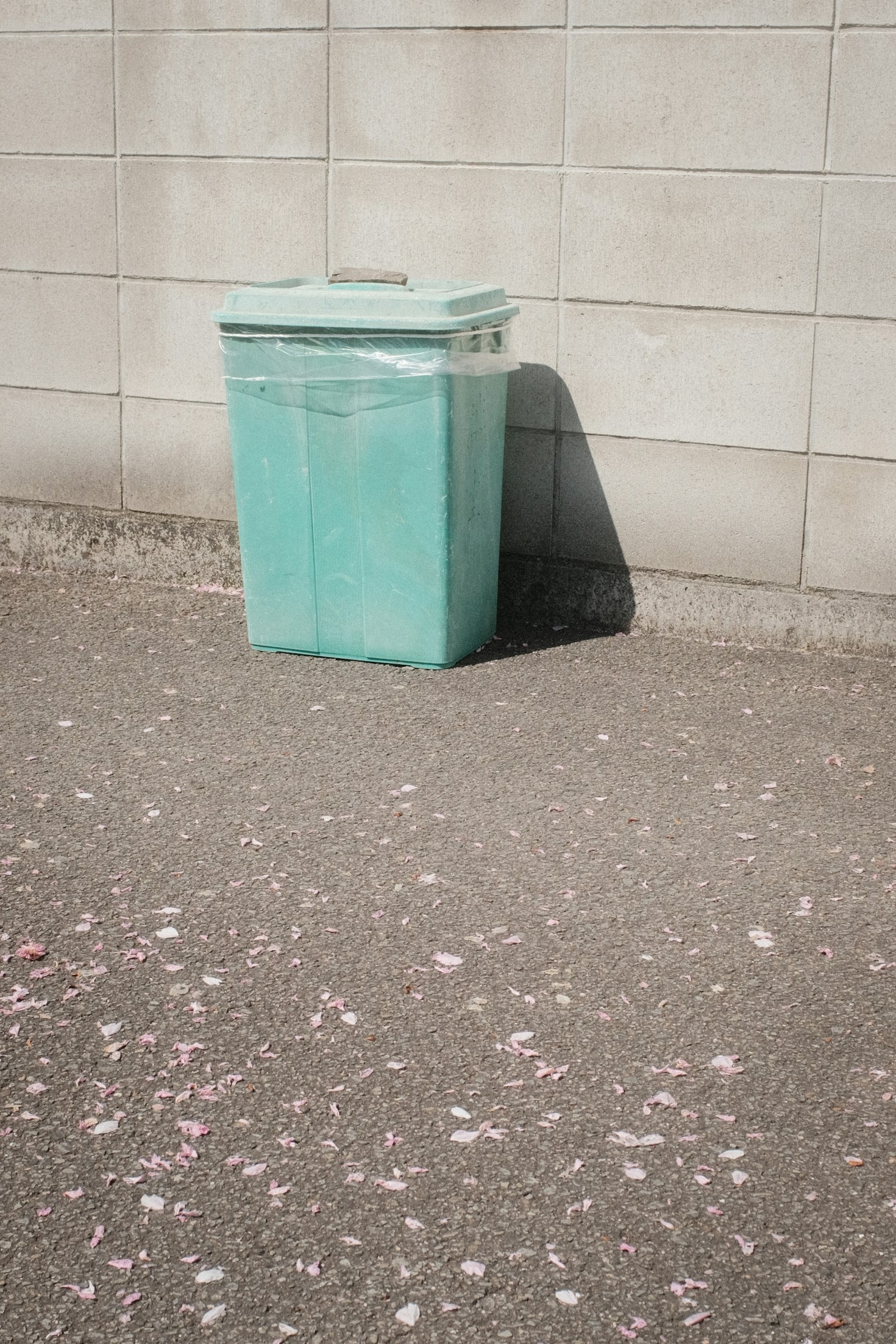 Combating Odors and Bacteria in Outdoor Bins